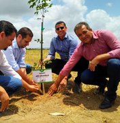 Limoeiro de Anadia ganhará maior complexo de pesquisa agroflorestal sintrópica da região