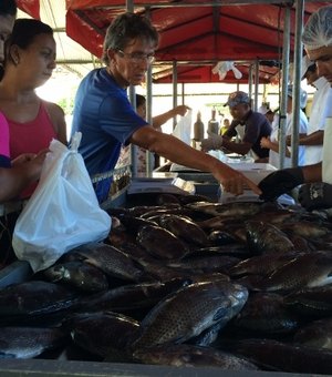 Terceira edição da Feira do Peixe Vivo incentiva produção de pescados