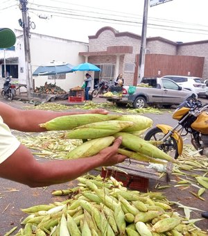 [Vídeo] Procura pelo milho verde aumenta em Arapiraca na véspera de São João