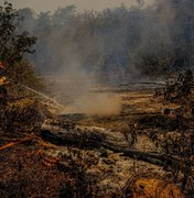 Perícia afirma que incêndio no Pantanal do Mato Grosso foi intencional