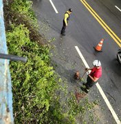 Chuva forte: árvore cai na Leste-Oeste e trânsito fica lento na região