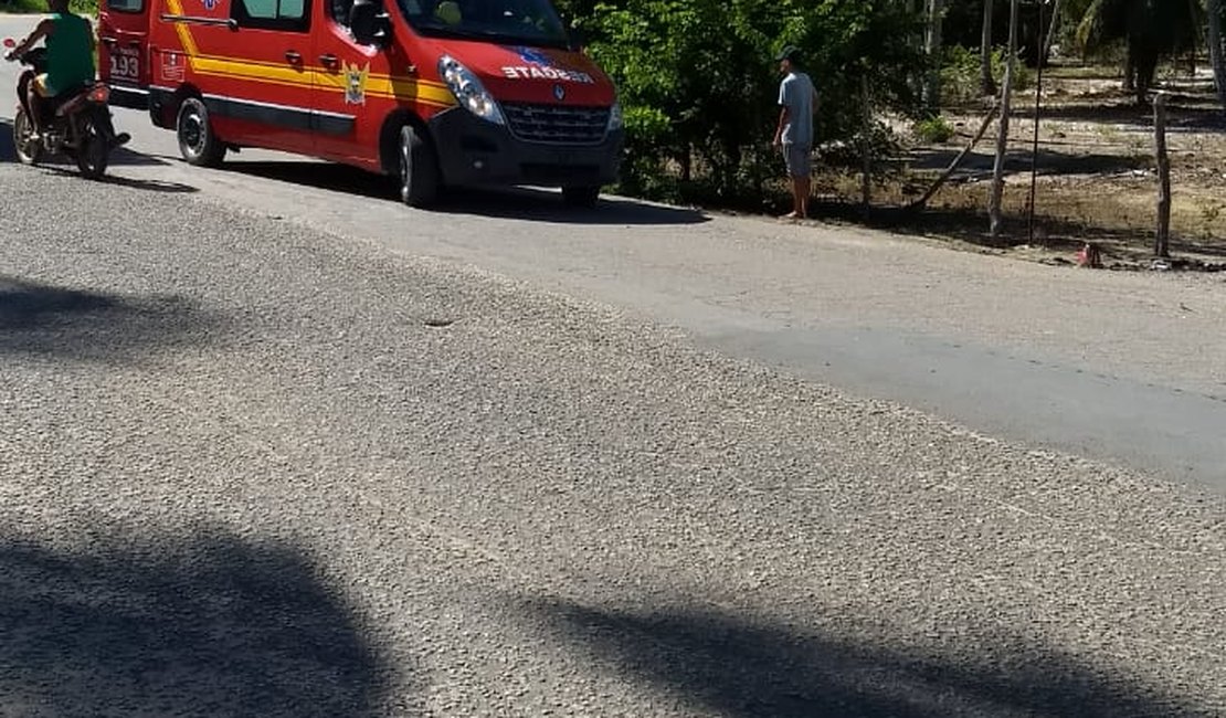 Bombeiros resgatam besta presa em vala no município de Rio Largo