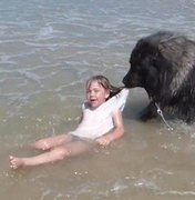 [Vídeo] Cão entra no mar e resgata neta do dono por achar que ela estava em apuros