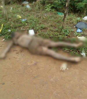 Corpo de jovem é encontrado pela polícia no bairro do Riacho Doce