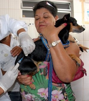 Campanha de vacinação contra raiva em cães e gatos inicia dia 3 de abril