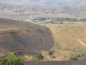 Incêndio consome cerca de 150 hectares de vegetação na Serra dos Frios