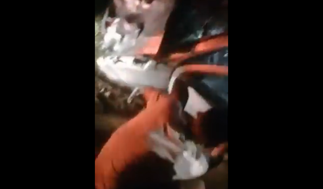 [Vídeo] Carro colide com vaca na AL-115, em Arapiraca