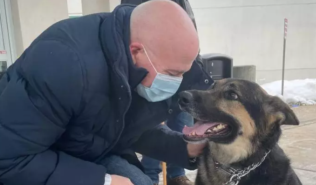 Homem adota cadela  rejeitada por três abrigos e cão salva a sua vida