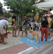 Feira de adoção de animais acontece neste domingo (17) em Arapiraca