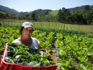 Alagoas sedia encontro nacional sobre assistência técnica para agricultura familiar