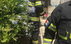 Incêndio com botijão de gás destrói metade de telhado de acrílico de residencia, em Arapiraca