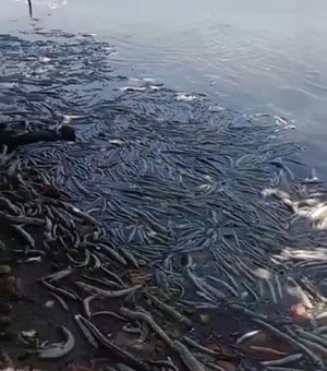 Dezenas de peixes aparecem mortos na Lagoa Mundaú