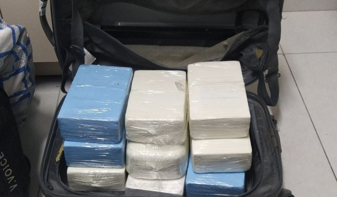 Com ajuda de cão farejador, Segurança Pública apreende mais de 11 quilos de cocaína em ônibus