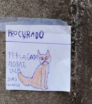 Menino desenha gata que fugiu e espalha 'cartazes' para encontrá-la