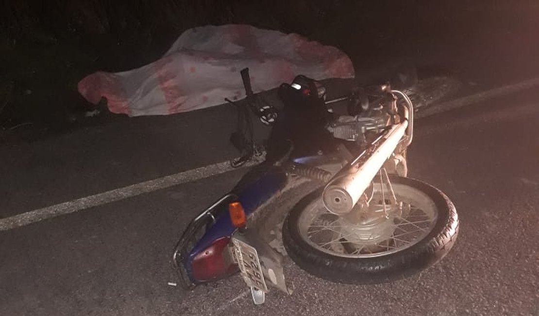 Mototaxista morre ao colidir em cavalo em Porto Calvo