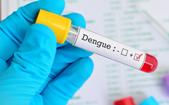 Prefeitura alerta para importância da investigação laboratorial dos casos suspeitos de dengue