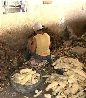 Crianças que trabalhavam em casa de farinha no Agreste deverão ser protegidas pelo município