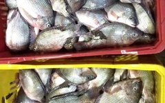 Prefeitura de Maragogi faz distribuição de peixes na Semana Santa
