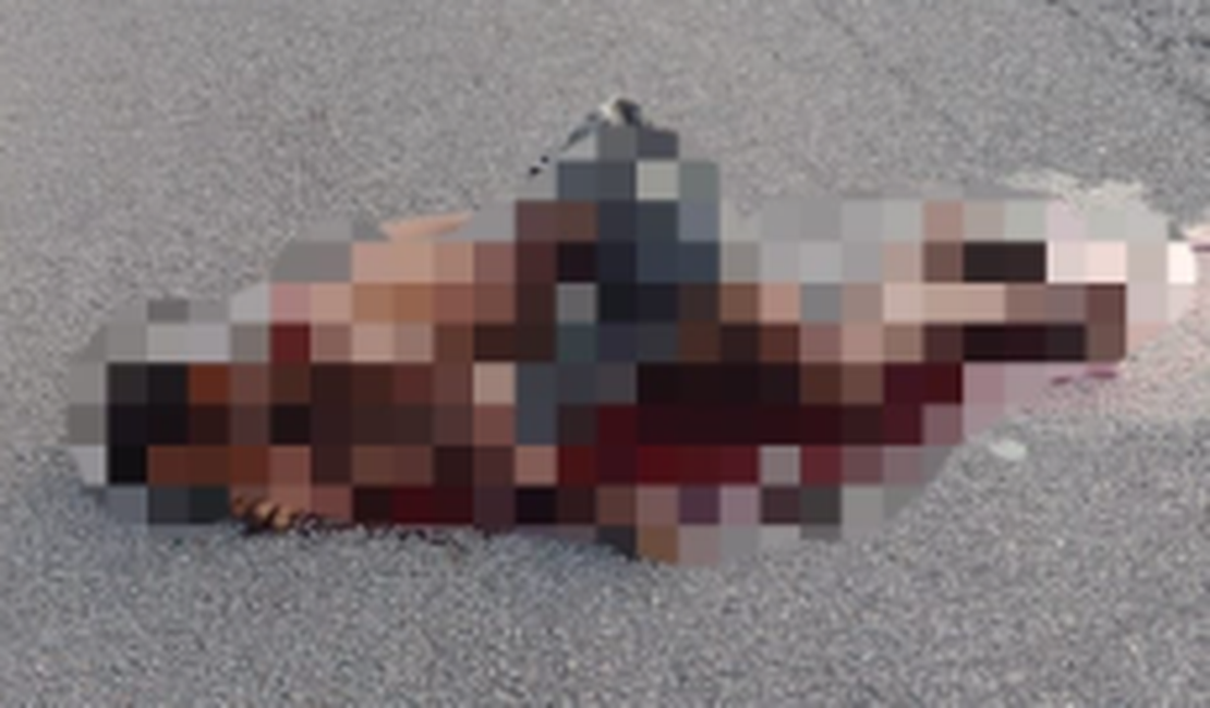 Corpo de homem é encontrado em rodovia no município de Porto Calvo