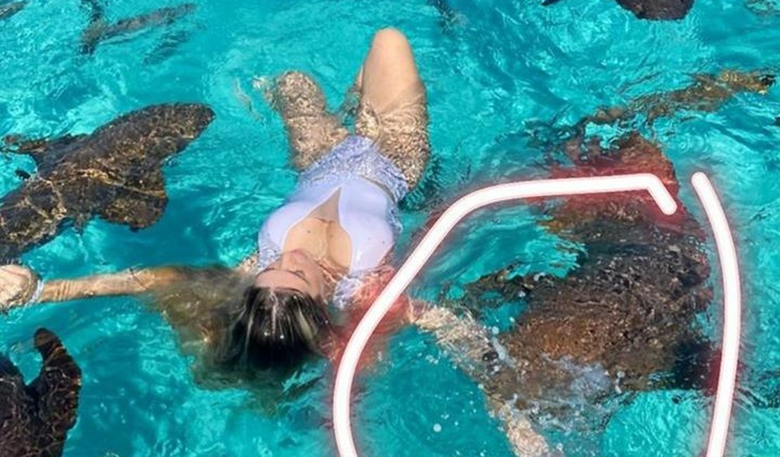 Influencer é mordida ao nadar com tubarão nas Bahamas: 'Arrancou um pedaço do meu braço'
