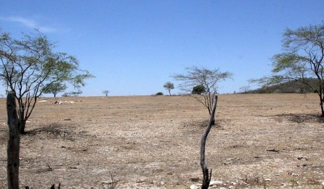 Relatório aponta Alagoas como o estado mais afetado pela desertificação no Brasil