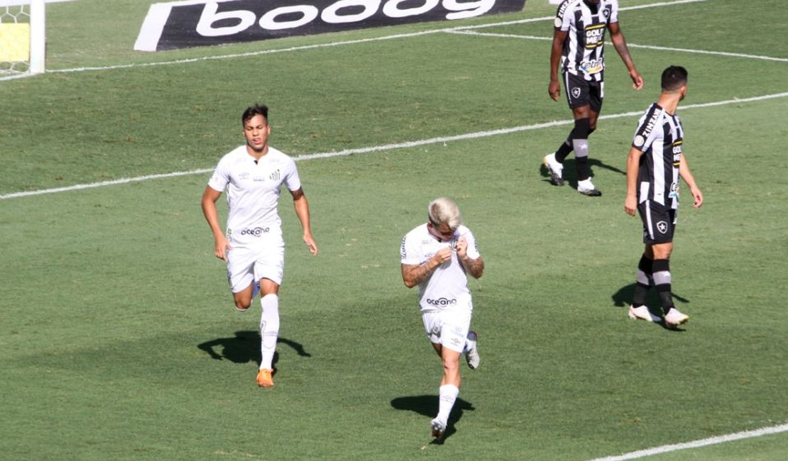 Botafogo perde para o Santos, apesar do brilho do goleiro Diego Loureiro