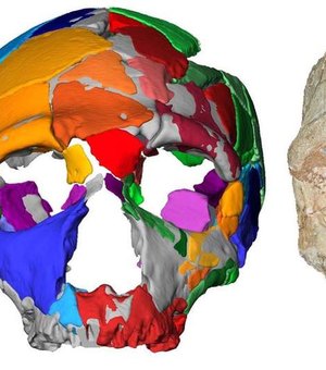 Crânio encontrado na Grécia pode reescrever história do homem moderno