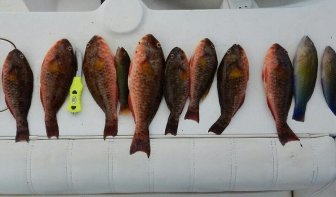 IMA intensifica fiscalização e apreende equipamentos de pesca na Piscina do Amor
