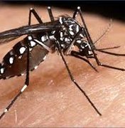 Estudo mostra que Zika chegou ao Brasil proveniente do Haiti