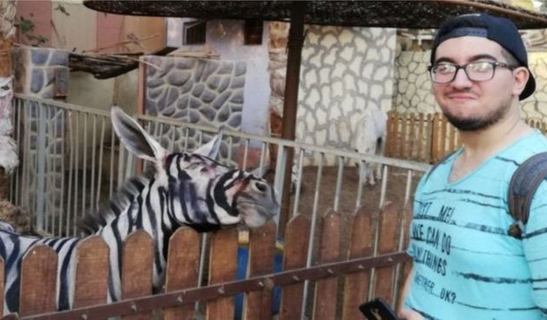 Zoológico egípcio é acusado de pintar burro para parecer zebra