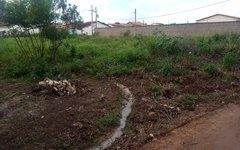 Moradores reclamam de esgotamento do bairro Canafístula, em Arapiraca 