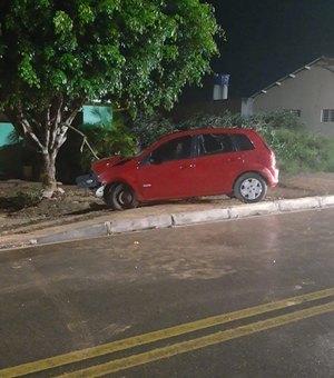 Motorista perde controle de veículo e colide em árvore no município de Lagoa da Canoa