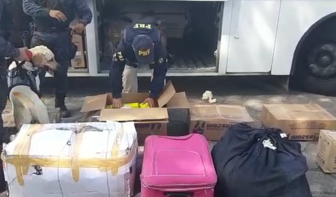 [Vídeo] Mulher é presa com mais de 200 kg de maconha em ônibus clandestino em São Sebastião