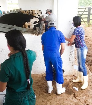 Curso de inseminação artificial em bovinos completa 26 anos