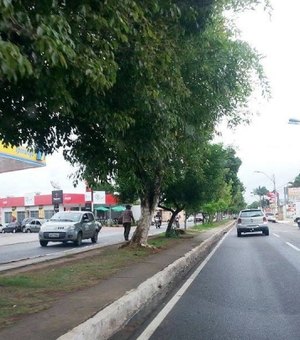 Duas colisões entre veículos foram registradas na noite de segunda-feira em Arapiraca