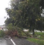 [Vídeo] Chuvas provocam riscos à motoristas que trafegam na Zona da Mata