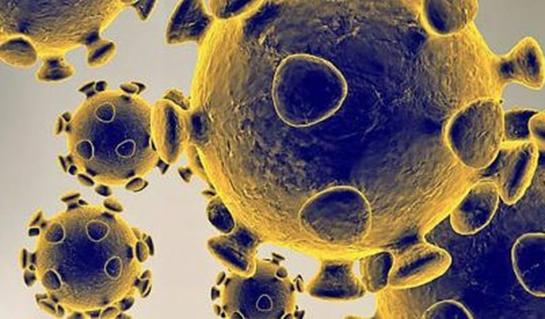 Novo tratamento pode bloquear vírus da covid-19 em tecido humano