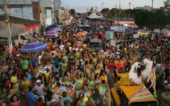 Milhares de foliões participaram da prévia carnavalesca Folia de Rua