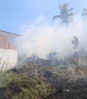 Vegetação incendeia e fogo chega perto de casas em Maragogi