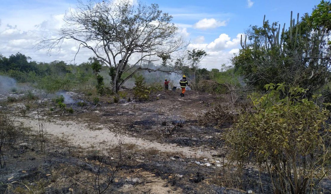 Vegetação pega fogo em Penedo e incêndio é controlado por Bombeiros
