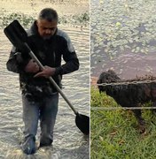 'Faria de novo', diz pedreiro que resgatou cachorro no lago de Iacanga em manhã com 3ºC