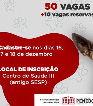 Prefeitura de Penedo promove castração gratuita de cães e gatos