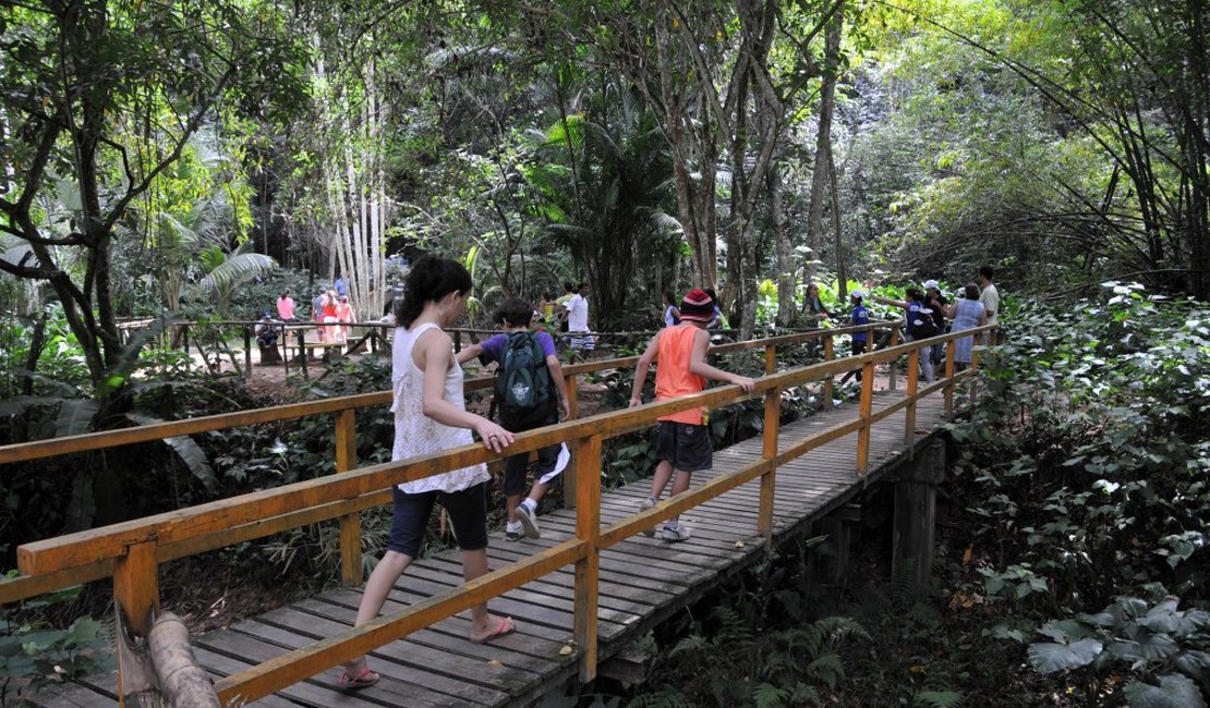 Feriado de Tiradentes terá trilha guiada no Parque Municipal de Maceió