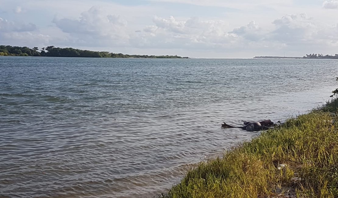 Corpo sem identificação é encontrado na Lagoa Mundaú, em Marechal Deodoro