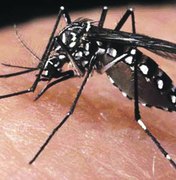 Maceió registra 864 casos suspeitos de zika vírus e 485 de dengue, segundo boletim