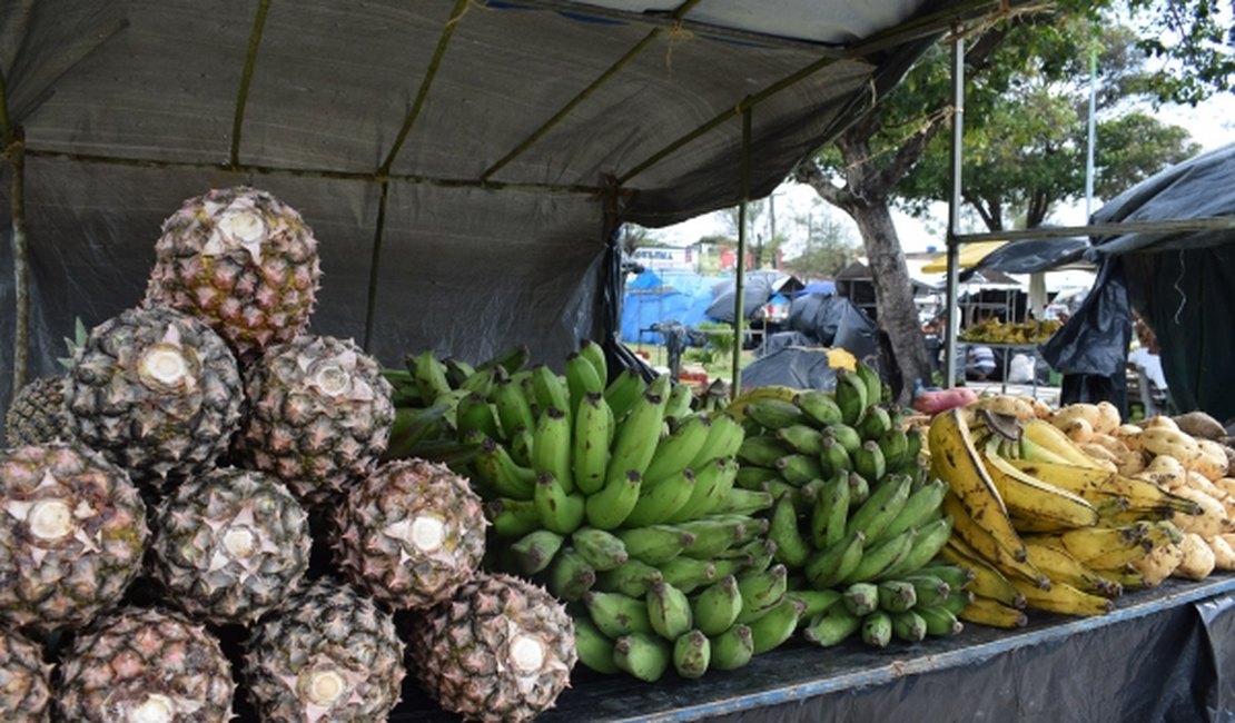 Feira da Agricultura Familiar é uma das atrações no Festival da Primavera
