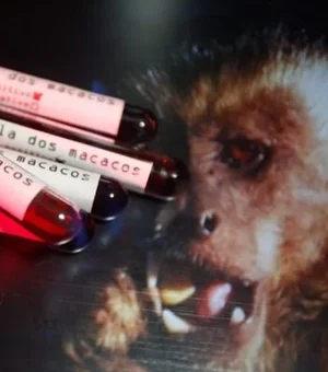 Ministério da Saúde confirma 9º caso de varíola dos macacos no Brasil