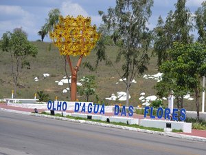 Prefeitura de Olho d’Água das Flores pretende gastar R$ 393 mil  com aluguel de impressoras
