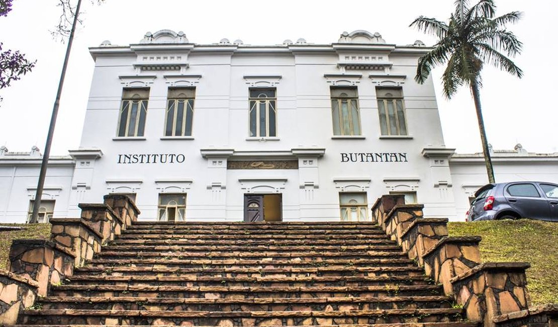 Butantan tem 95% das doses da vacina anti-covid da América Latina