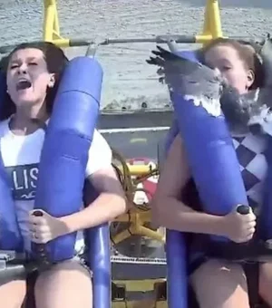 Garota é 'atingida' por gaivota em brinquedo radical de parque dos EUA
